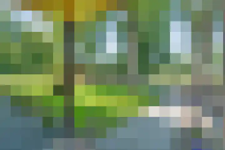 Sportlaan 9 Bergentheim thumbnail 59