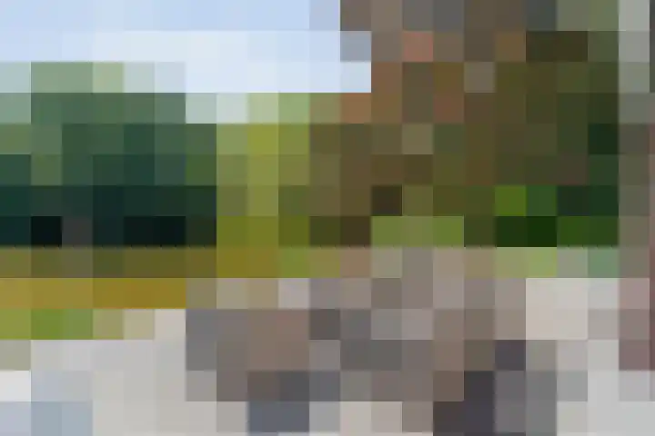 Sportlaan 9 Bergentheim thumbnail 62