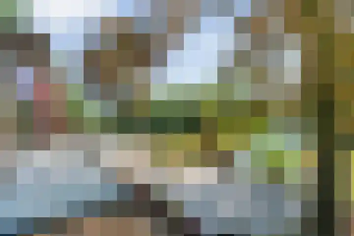 Sportlaan 9 Bergentheim thumbnail 64