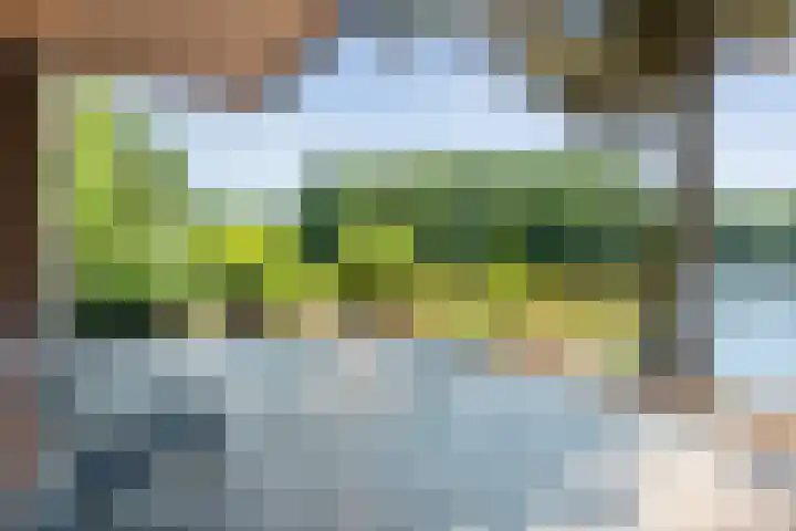 Sportlaan 9 Bergentheim thumbnail 66
