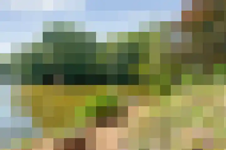 Sportlaan 9 Bergentheim thumbnail 67