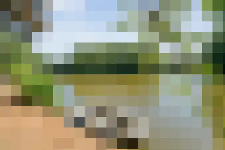 Sportlaan 9 Bergentheim thumbnail 68