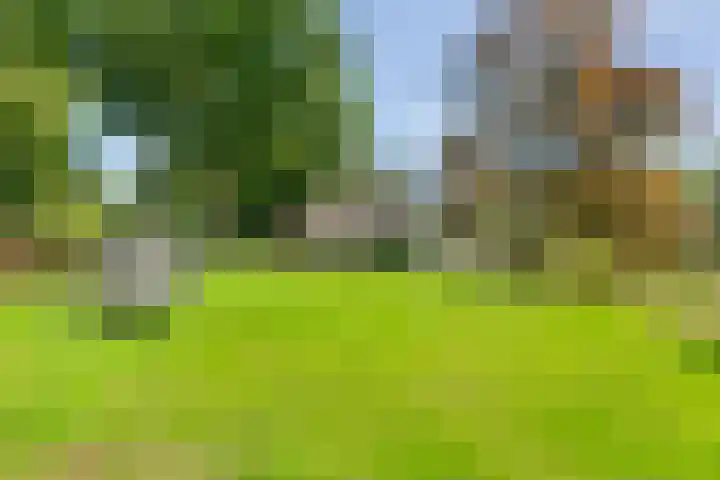 Sportlaan 9 Bergentheim thumbnail 70