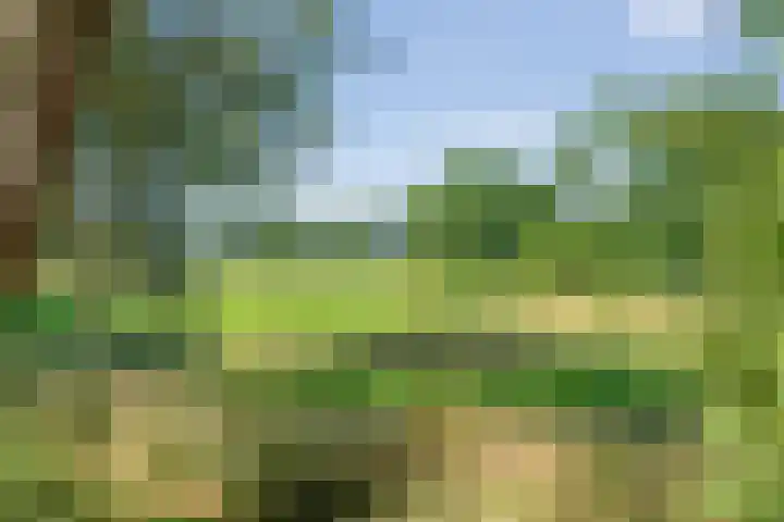 Sportlaan 9 Bergentheim thumbnail 73