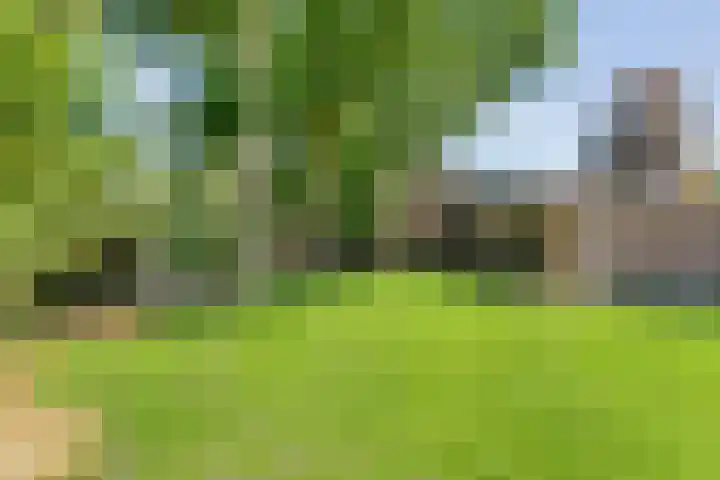 Sportlaan 9 Bergentheim thumbnail 74