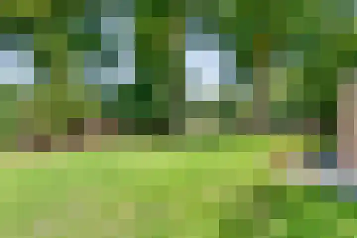 Sportlaan 9 Bergentheim thumbnail 75