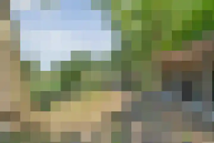 Sportlaan 9 Bergentheim thumbnail 77
