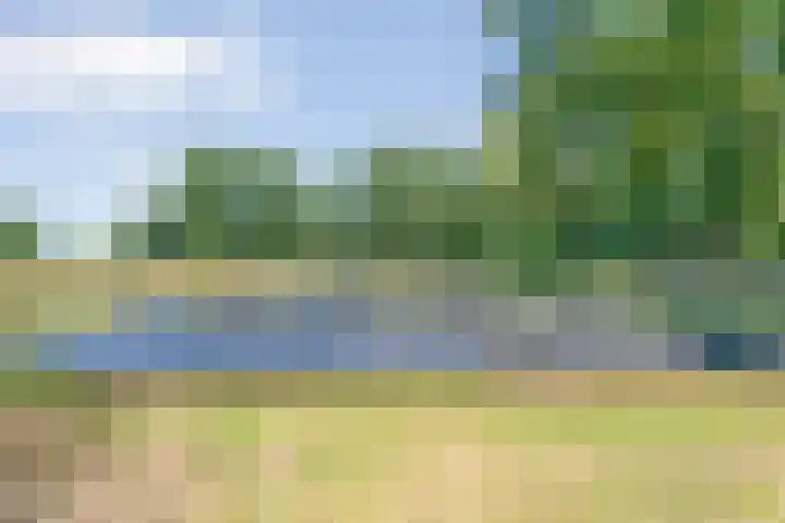 Sportlaan 9 Bergentheim thumbnail 79