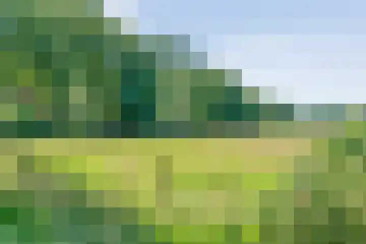 Sportlaan 9 Bergentheim thumbnail 80