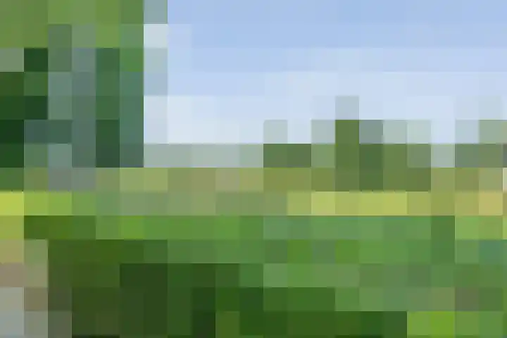 Sportlaan 9 Bergentheim thumbnail 81