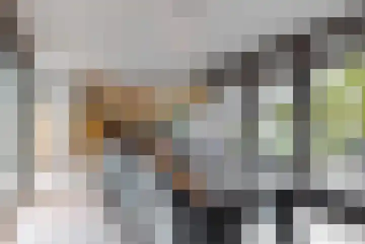 Sportlaan 9 Hoorn thumbnail 12