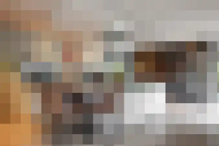 Sportlaan 9 Hoorn thumbnail 13