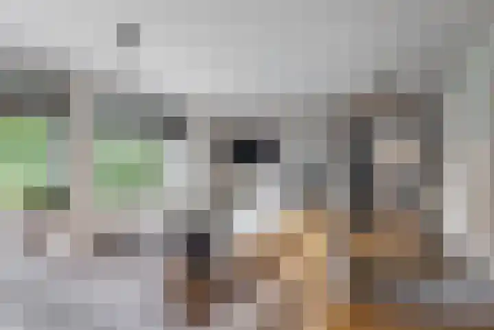 Sportlaan 9 Hoorn thumbnail 4