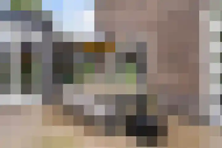 Sportlaan 9 Hoorn thumbnail 48