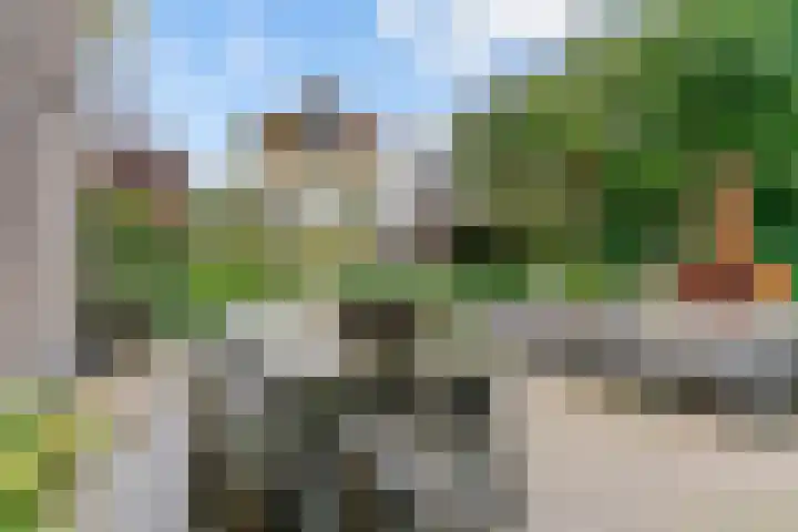 Sportlaan 9 Hoorn thumbnail 49