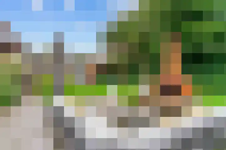 Sportlaan 9 Hoorn thumbnail 50