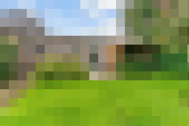 Sportlaan 9 Hoorn thumbnail 51