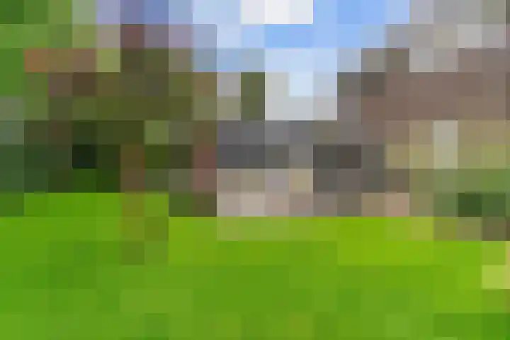 Sportlaan 9 Hoorn thumbnail 53