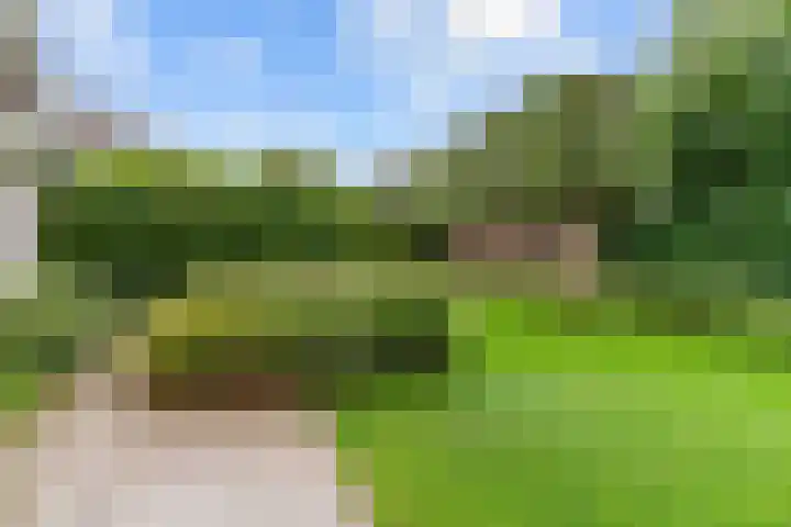 Sportlaan 9 Hoorn thumbnail 59