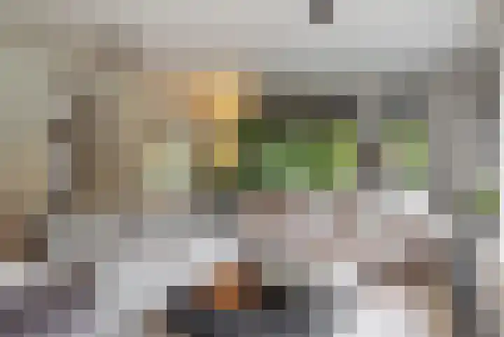 Sportlaan 9 Hoorn thumbnail 6