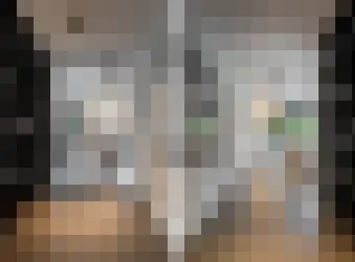 Sportlaan 9 Hoorn thumbnail 9