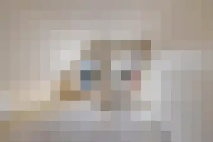 Sportlaan 9 Nieuw-Buinen thumbnail 11