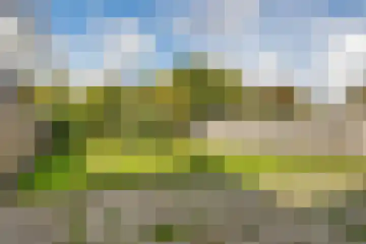 Sportlaan 9 Nieuw-Buinen thumbnail 17