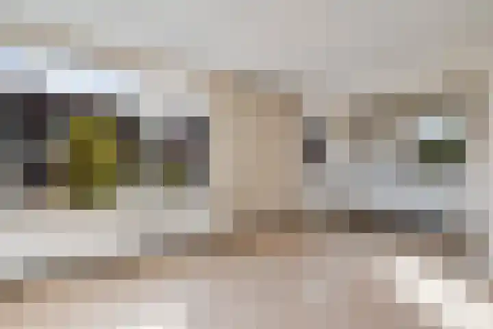 Sportlaan 9 Nieuw-Buinen thumbnail 6