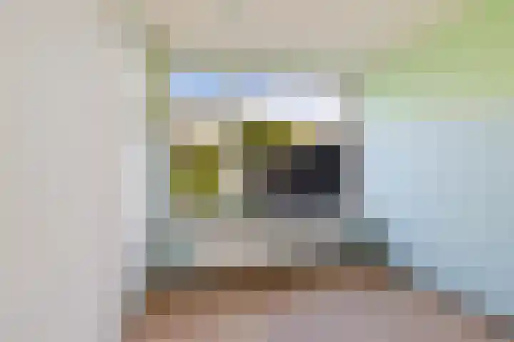 Sportlaan 9 Nieuw-Buinen thumbnail 9