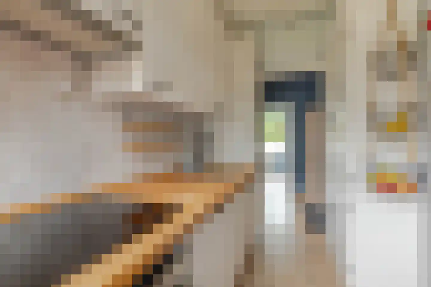 Sportlaan 9 Spijkenisse thumbnail 18