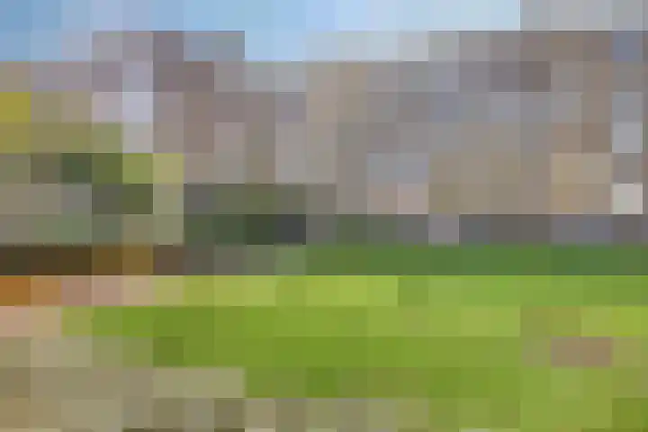 Sportlaan 920 Den Haag thumbnail 21