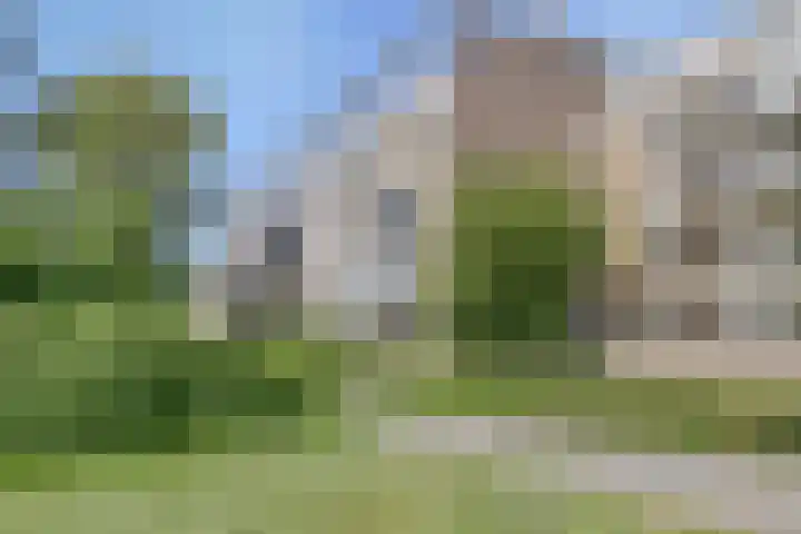 Sportlaan 920 Den Haag thumbnail 22