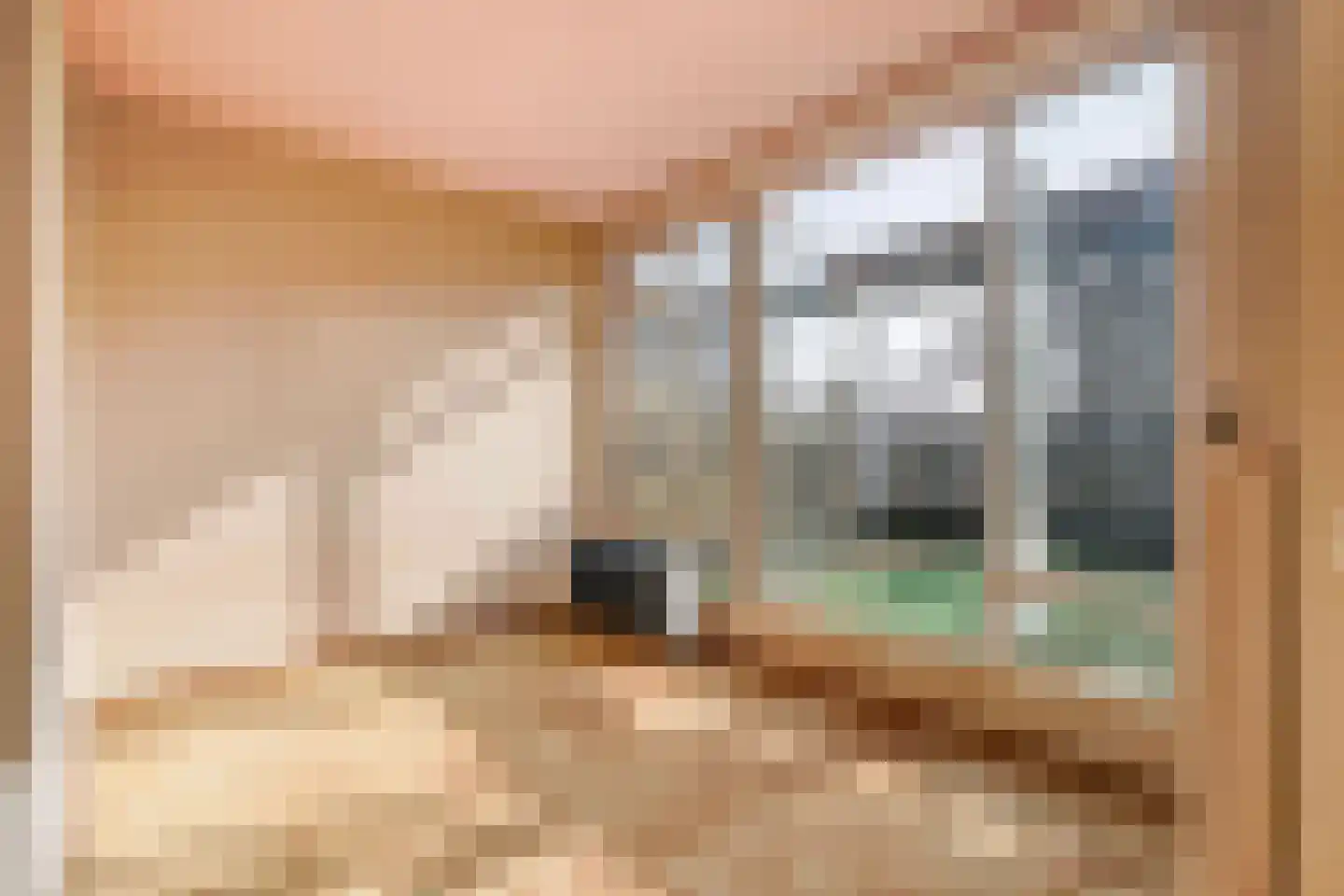 Sportlaan 944 Den Haag thumbnail 31