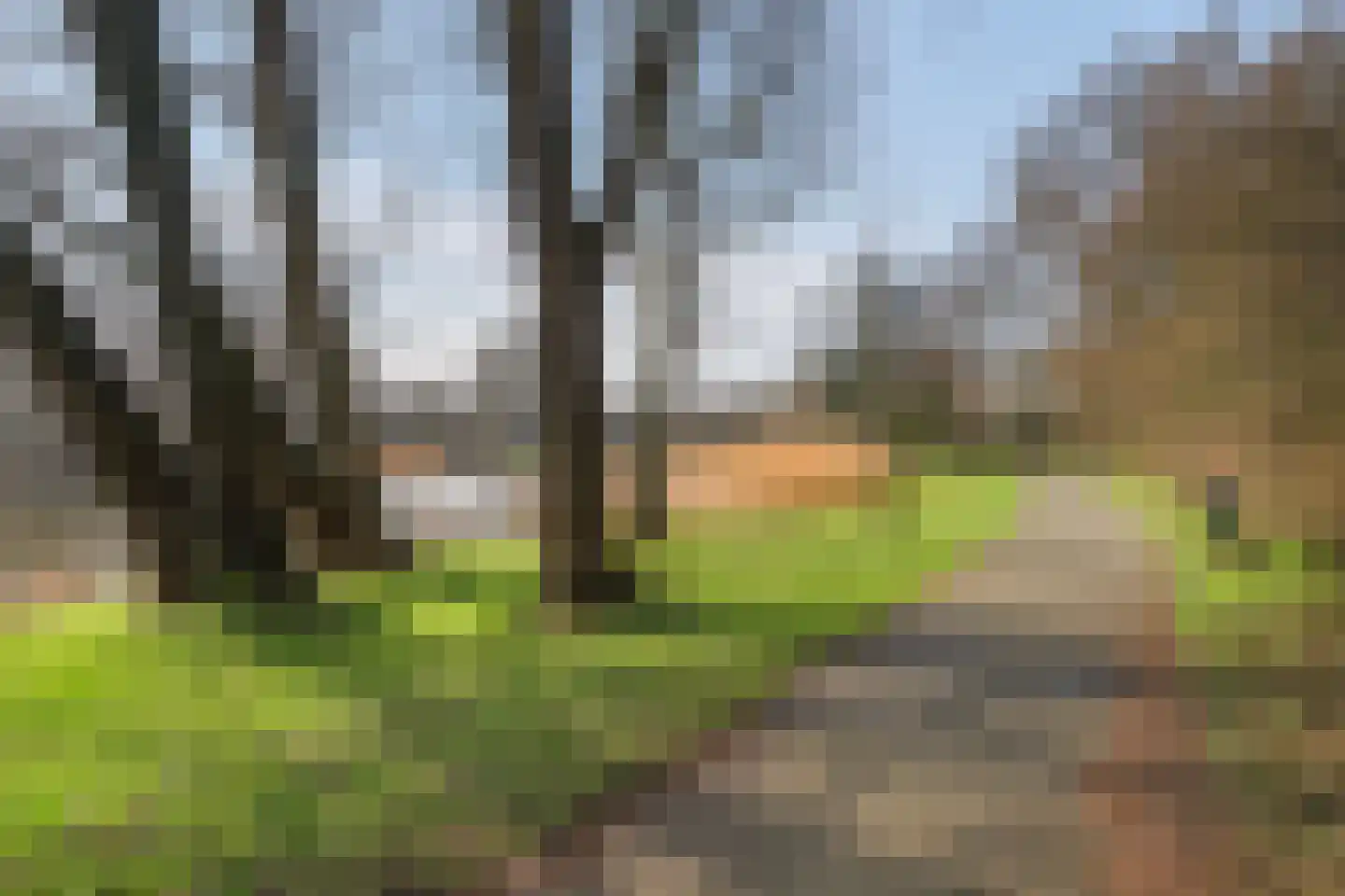 Sportlaan 944 Den Haag thumbnail 45