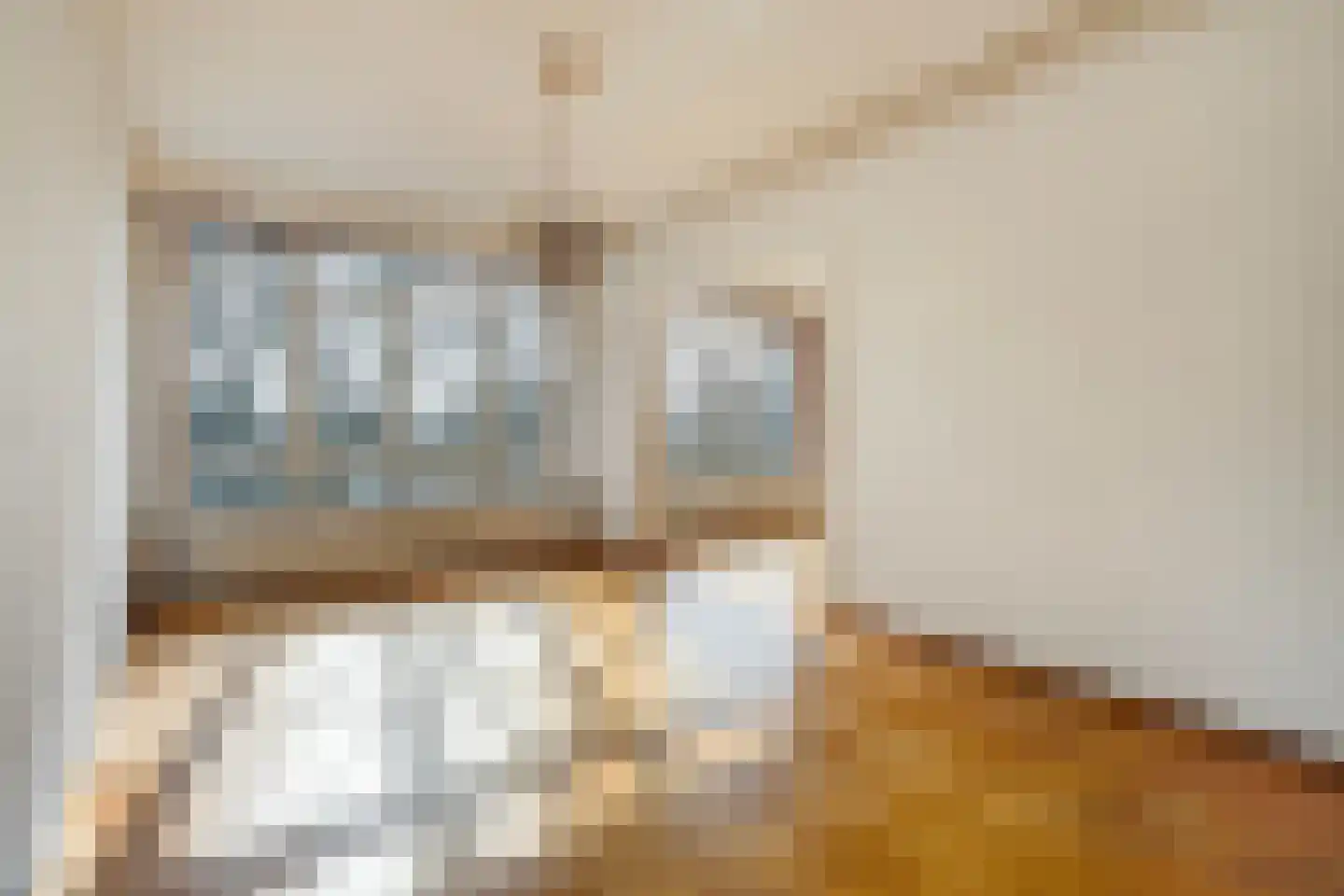 Sportlaan 944 Den Haag thumbnail 8