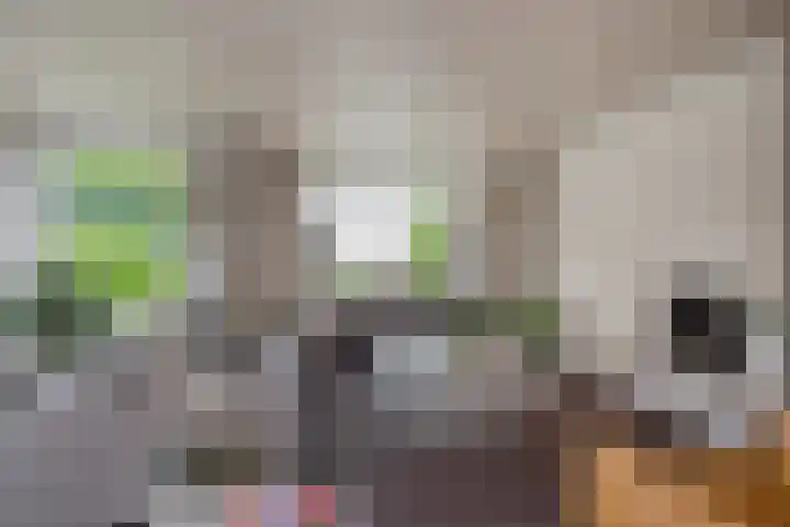 Sportlaan 97 Den Haag thumbnail 14