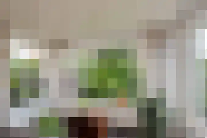 Sportlaan 97 Den Haag thumbnail 18