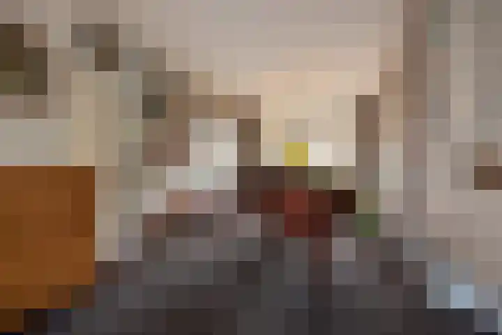Sportlaan 97 Den Haag thumbnail 19