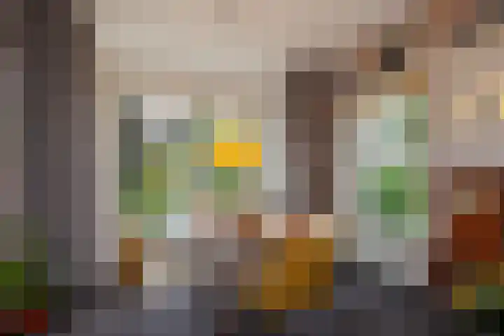 Sportlaan 97 Den Haag thumbnail 20