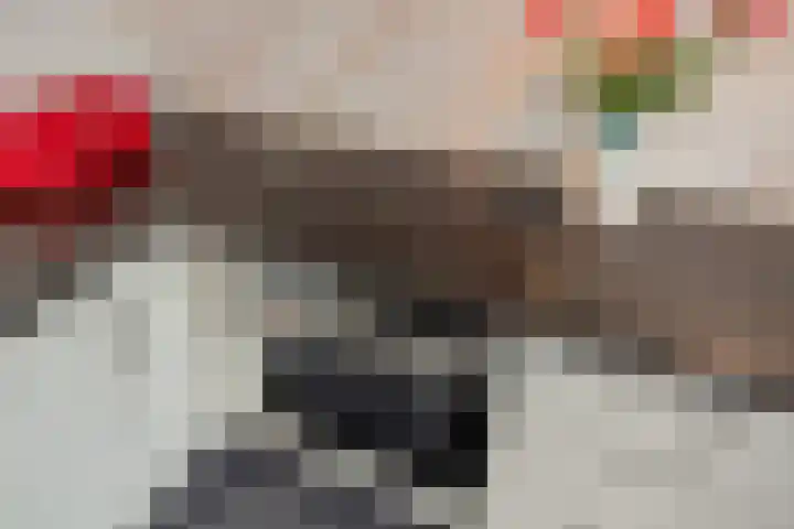 Sportlaan 97 Den Haag thumbnail 24