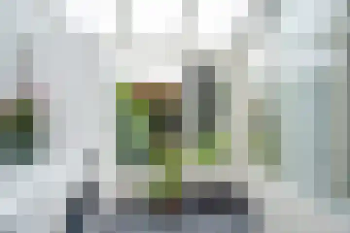 Sportlaan 97 Den Haag thumbnail 25