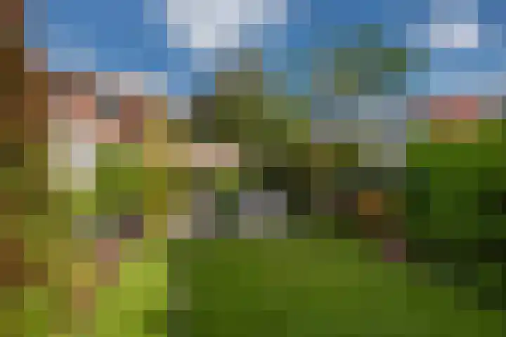 Sportlaan 97 Den Haag thumbnail 27