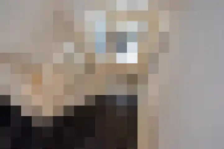 Sportlaan 97 Den Haag thumbnail 30