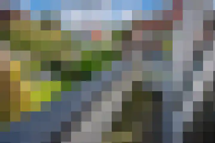 Sportlaan 97 Den Haag thumbnail 35