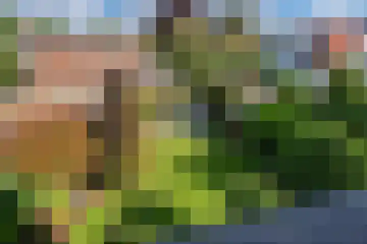 Sportlaan 97 Den Haag thumbnail 36