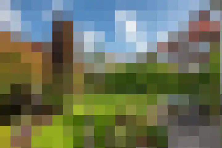 Sportlaan 97 Den Haag thumbnail 4