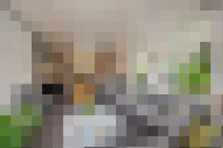 Sportlaan 97 Den Haag thumbnail 5