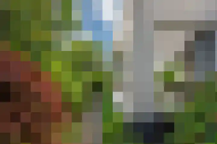 Sportlaan 97 Den Haag thumbnail 51