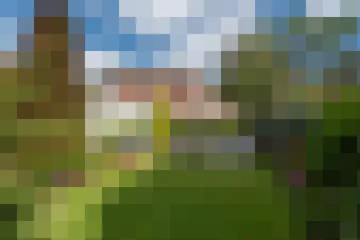 Sportlaan 97 Den Haag thumbnail 54