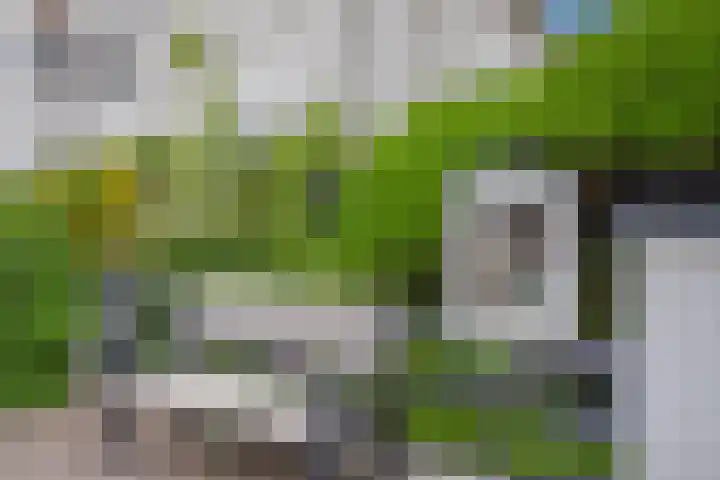 Sportlaan 97 Den Haag thumbnail 8